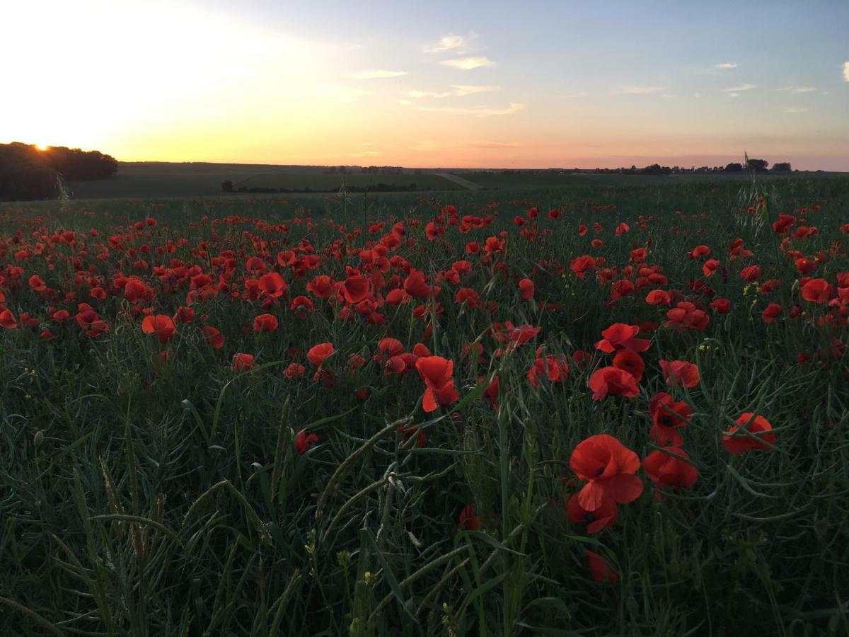 Dupres House, Chavasse Farm, Somme Battlefields Villa Hardecourt-aux-Bois Exterior foto